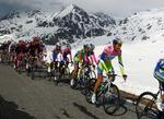kuperet. Sidste år vandt Ivan Basso Giro d'Italia. Her cykler rytterne gennem sneklædte tinder i Gavia-passet. I år bliver Giro'en endnu mere bjergrig end sidste år. Arkivfoto. 