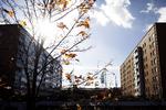 Angreb. En mand har skudt mod indvandrere flere steder i Malmø - blandt andet her i Sörbäcksgatan i udkanten af byen. 