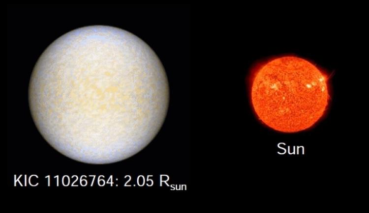 MÅLING. Rumteleskop har givet præcise målinger af blandt andre stjernen KIC 11026764. 