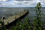 Forbudt natur