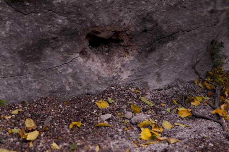 Rakethul. Sådan så kirkegårdsmuren i Nørresundby ud efter ukendte gerningsmænd bombede den med en panserværnsraket. 