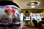 Salem Salman and his family fled Saddam Hussein's Iraq, where sattelite dishes were banned. Archive. 