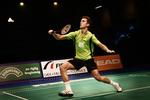 DM i badminton