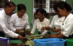 Stemmetælling. Der tælles stemmer i Myanmar. 