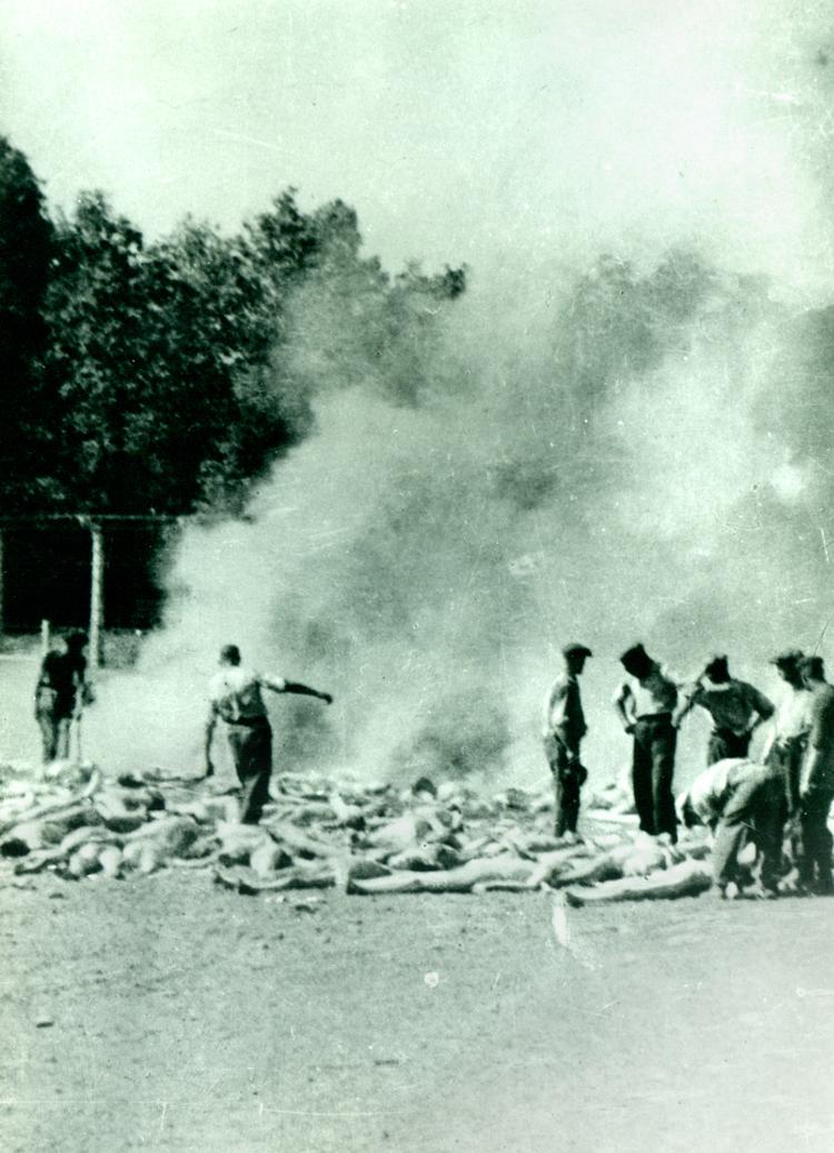 Vidnesbyrd. Medlemmer af Sonderkommandoen i færd med at slæbe lig hen til de åbne ligbrændingsgruber i Birkenau sommeren 1944. 