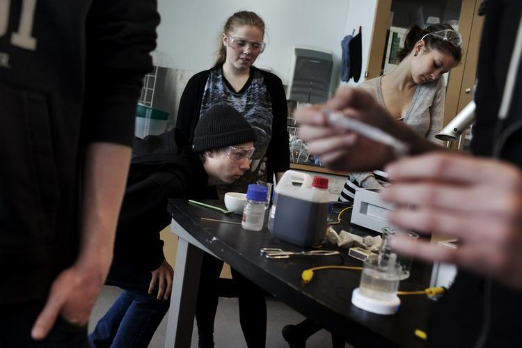 Engagement. Skolerådet afholder i dag en konference, hvor dagens skribent, Jill Mehlbye, fremlægger sin undersøgelse. Her har hun bl.a. set nærmere på, hvad der adskiller højt præsterende skoler fra mere svingende skoler. Arkivfoto: Niels Christensen 
