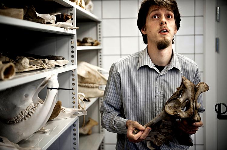 FORSINKET. Dyrlægeuddannelsen på Det Biovidenskabelige Fakultet ved Københavns Universitet er normeret til fem et halvt år. 23-årige Allan Grønne bliver otte måneder forsinket, fordi han arbejder ved siden af. 