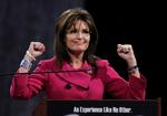 Kampform. Sarah Palin stillede op som vicepræsidentkandidat ved det seneste præsidentvalg. Nu er hun en succesfuld frontfigur i den såkaldte Tea Party-bevægelse. 