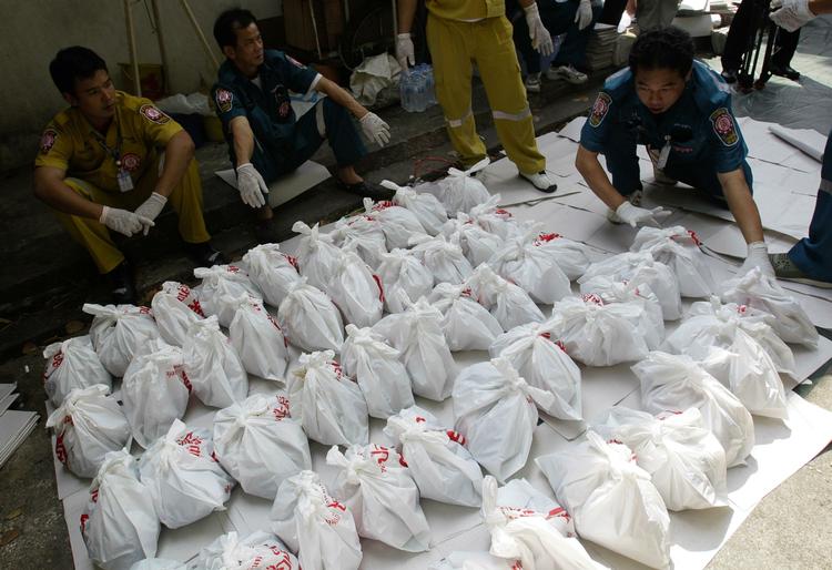Fremvisning. Thailandsk politi med nogle af fostrene fra de illegale aborter. 