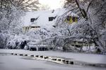 Kulde. Det hænder, at Danmark bliver ramt af kulde og massive snemasser. Men det er faktisk sjældent, selv om den kommende vinter ikke bliver koldere end normalt. 