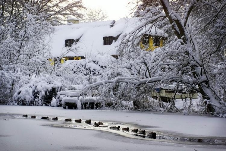 Kulde. Det hænder, at Danmark bliver ramt af kulde og massive snemasser. Men det er faktisk sjældent, selv om den kommende vinter ikke bliver koldere end normalt. 
