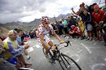 »Jeg er utrolig skuffet og ked af det. Det er noget, som har stået på gennem lang tid, og jeg havde rigtig meget lyst til at køre cykelløb igen for Bjarnes hold«, siger Michael Rasmussen.  Her er han i aktion under Tour de France i 2005. 