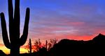 Sonoran-Desert_web_Anton-Fo