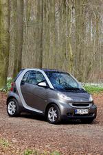 dieselsmart_27-11-2010_KCAN0DP.jpg