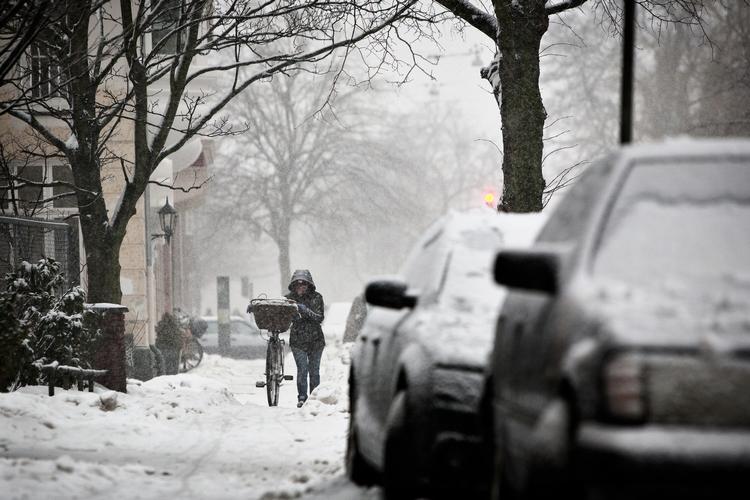 Frost. Skal man tro DMI, så bliver den første del af december en iskold fornøjelse. 