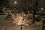 sne. Det hvide vejr fik mange julefrokostgæster til at holde sig inden døre. 