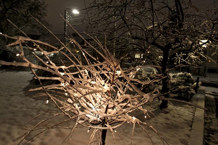 sne. Det hvide vejr fik mange julefrokostgæster til at holde sig inden døre. 