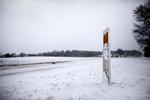 Årets første sne