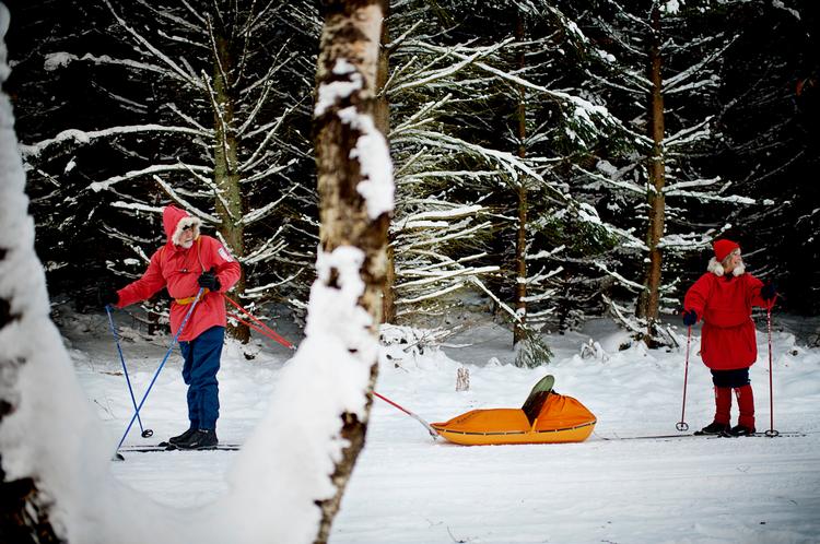 MAN SKAL I PULK ... før man kan stå.  Anker Berg-Sørensen trækker sit barnebarn gennem Gribskov, mens hustruen, Hanne, danner bagtrop.  MAN SKAL I PULK ... før man kan stå. Øverst trækker Anker Berg-Sørensen sit barnebarn gennem Gribskov, mens hustruen, Hanne, danner bagtrop. 