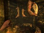 Amnesia: The Dark Descent hører til blandt de få computerspil, man ligefrem kan blive bange for at spille 