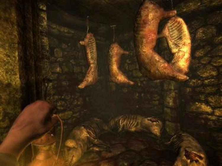 Amnesia: The Dark Descent hører til blandt de få computerspil, man ligefrem kan blive bange for at spille 