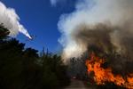 Undsætning. En række nationer har i løbet af dagen sendt brandslukningsfly til Israel for at hjælpe med at slukke de værste skovbrande nogensinde. 