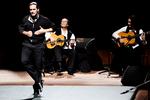 flamenco_l_rdag_04-12-2010_TVAOKF7.jpg