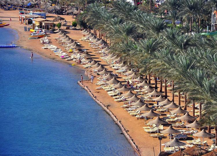Egypten. Skønt ser der ud, men Sharm el Sheik har haft et par frygtelige haj-angreb den seneste uge. 