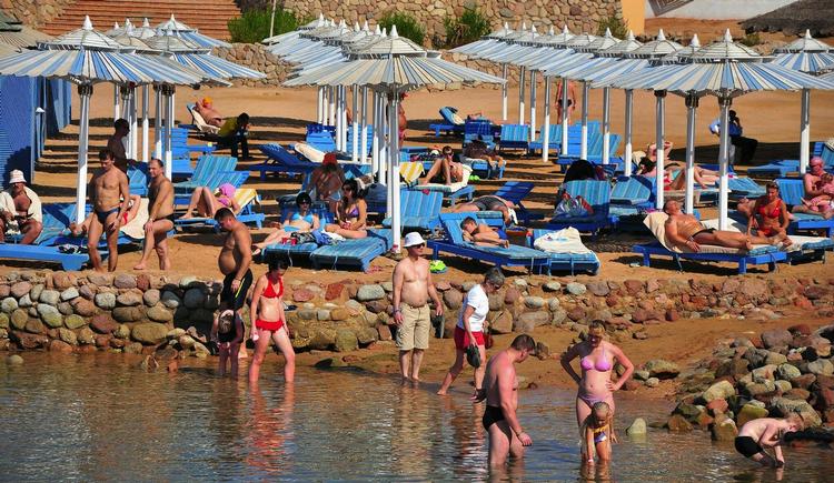 Hajfrygt.Turisterne ved dykkerparadiset i Egypten skal ikke nyde noget. 