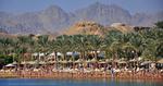 Vandgymnastikken er blevet rykket op på stranden, nu hvor der er forbud mod at gå i vandet i Sharm el-Sheikh. 