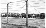 MUSEUM. Fårhuslejren blev straffelejr for mange af de mennesker, der støttede den tyske besættelse og krig. Nu får den en permanent udstilling om årene efter befrielsen. 