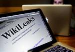 Cowboy. På godt og ondt er nettet lidt som det vilde vesten med sider som Wikileaks som en slags cowboys, der er gode til at indfange løbsk kvæg, men til fare for sig selv og andre, når de drikker sig fulde og vakler omkring med et skarpladt våben. 
