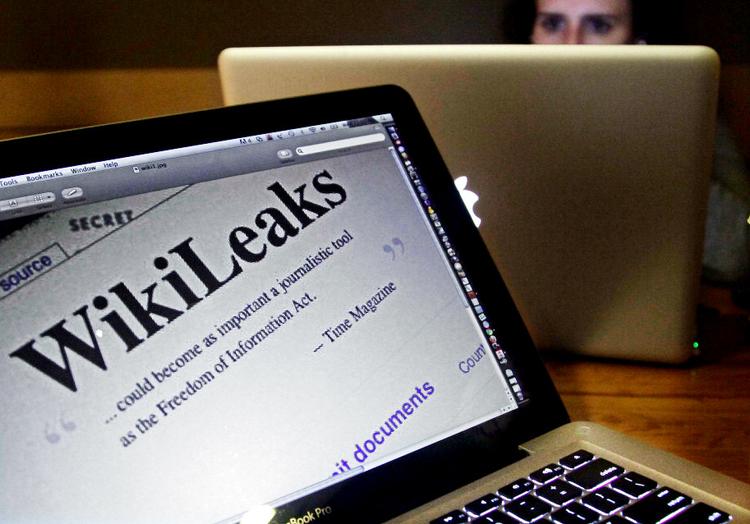 Cowboy. På godt og ondt er nettet lidt som det vilde vesten med sider som Wikileaks som en slags cowboys, der er gode til at indfange løbsk kvæg, men til fare for sig selv og andre, når de drikker sig fulde og vakler omkring med et skarpladt våben. 