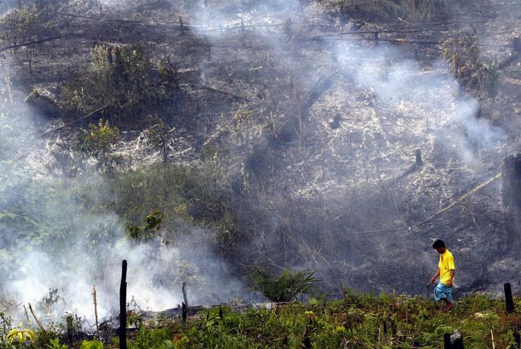 afbrænding. Målsætningen om at udskifte fossilt brændstof med førstegenerations biobrændstoffer baseret på fødevarer kan ende som en molbohistorie: Afskovning og oppløjning af marker øger CO{-2}-udslippet endnu mere. 