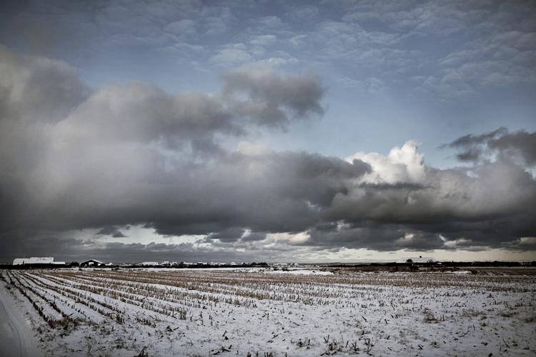 Vinterligt. Det har været en kold december, og vinteren slipper ikke sit tag i Danmark lige med det samme. 