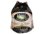 loland_anton_fritgående