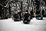 Vinter. Kælkning på Søndermarken, Valby Bakke. Her er det Michael Hansen (tv) og Oliver Jespersen (th) 