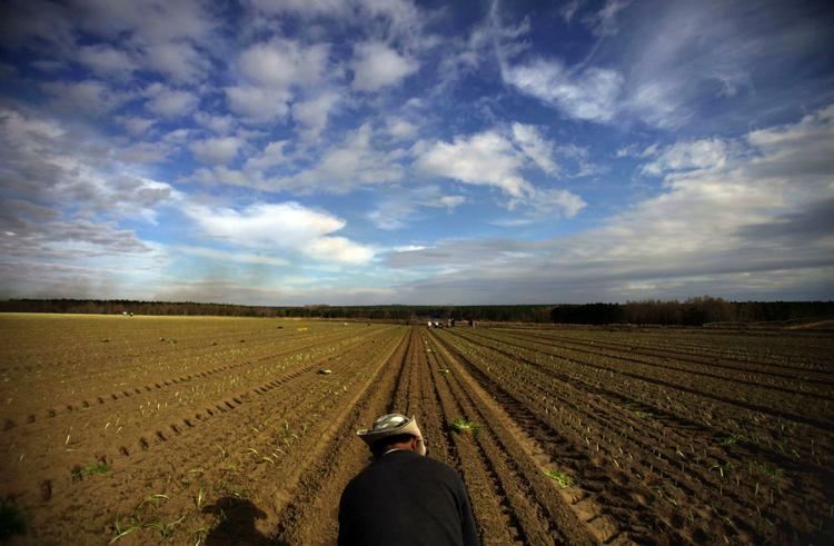 Hjemstavnen. Velskrivende Karin Slaughter udlægger igen sit had- og kærlighedsforhold til Georgia og omegn. 