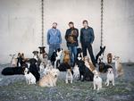 ROCK. De svenske indierockerne Peter Bjorn and John spiller under den nye rockfestival FROST, som bliver holdt første gang i februar. 