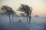 Vinter. Rimtågen bader landskabet i et blødt lys, mens kulden holder Danmark i et jerngreb. 