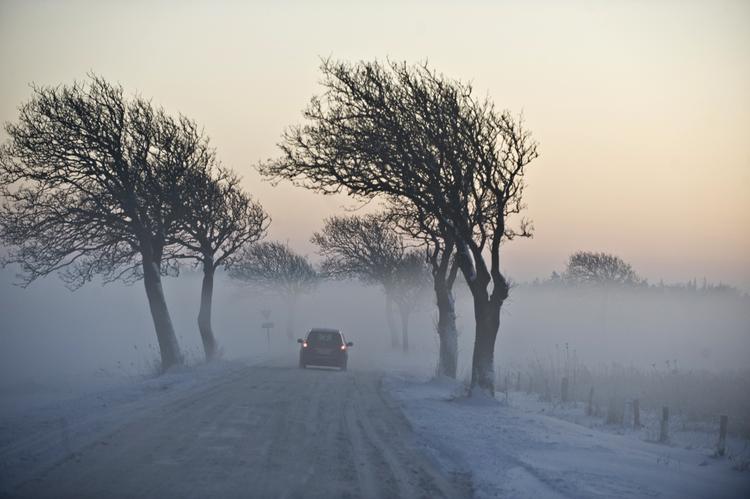 Vinter. Rimtågen bader landskabet i et blødt lys, mens kulden holder Danmark i et jerngreb. 