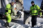 Surt liv som skraldemand