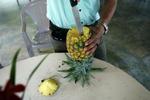 Ananasplantage i Honduras