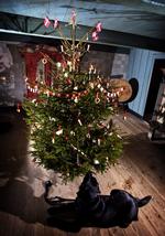 Juleomkostninger. Det er reelt ikke så dyrt at holde jul, som de fleste af os går og tror. 