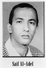 Al-Qaida in Iran