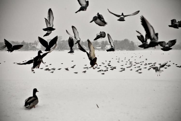 FROSTGRADER. Der er bedre vejr på vej, fastslår DMI. 