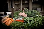 Råvarerne tog hævn, da Politikens madanmelder Adam Price blev fotograferet til denne artikel om, at mad - i dette  tilfælde østers, rogn, grønt og fisk - skal spises rå. 
