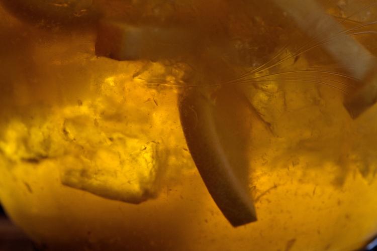 FEST. Punches er festlige og kan være et billigt alternativ til champagne og vin. 