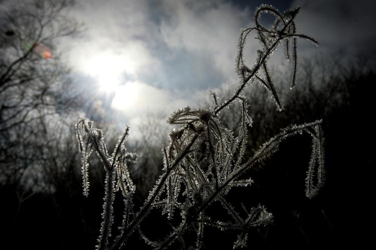 Aaahhhh.!Det er godt, at det ikke har været som i 1957, hvor det kun blev til otte solskinstimer i december. 