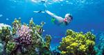 Great-Barrier-Reef_AP-Photo